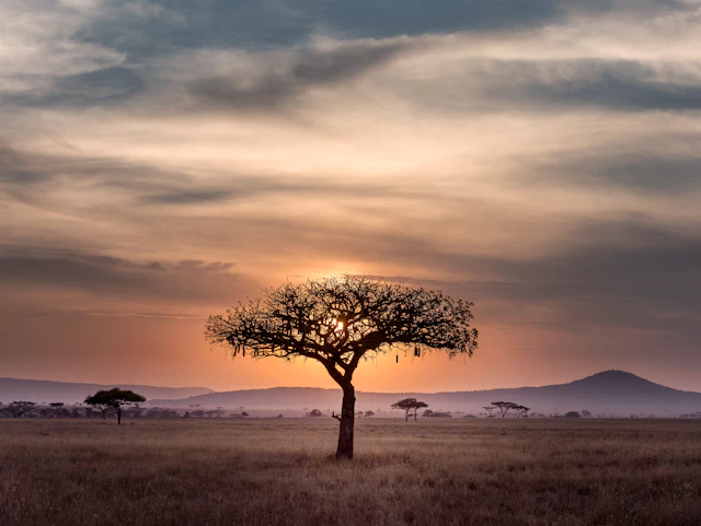 Viaggio Responsabile in Africa: Come Fare la Differenza